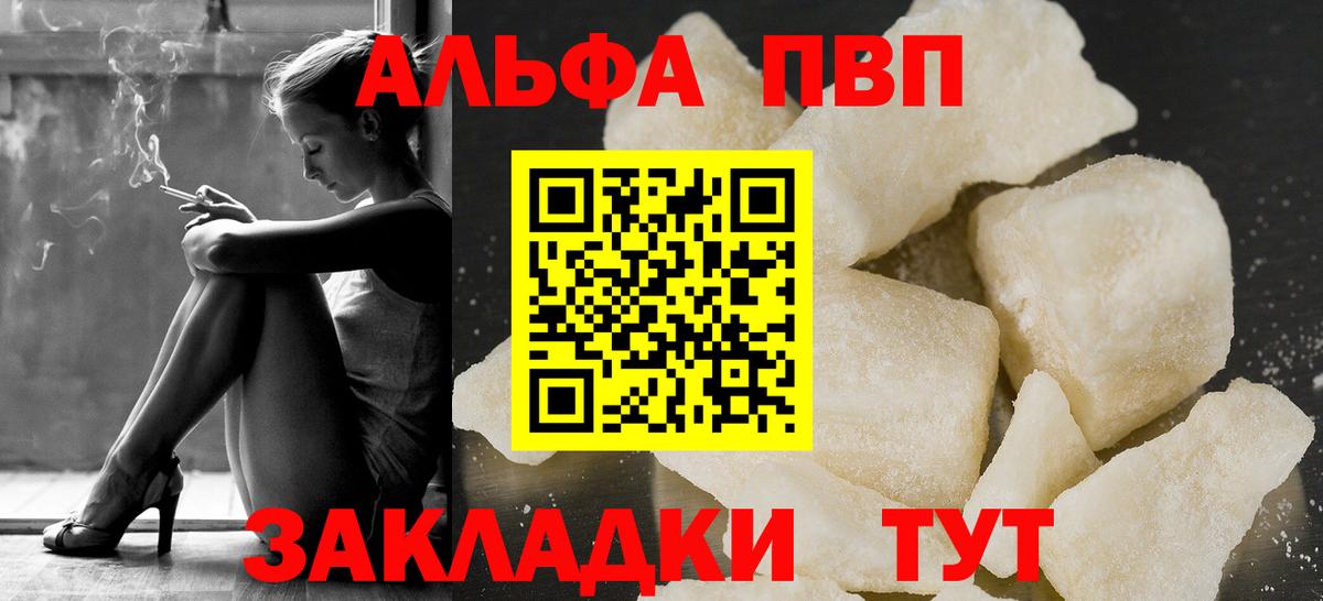 Alfa_PVP СК Новороссийск