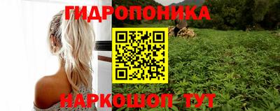 крисы Тулун