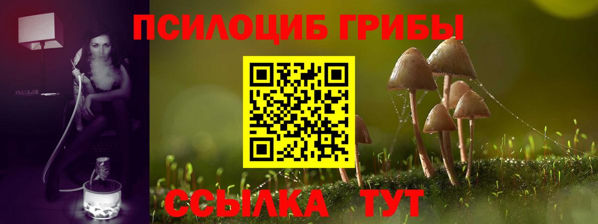 Псилоцибиновые грибы прущие грибы Новороссийск
