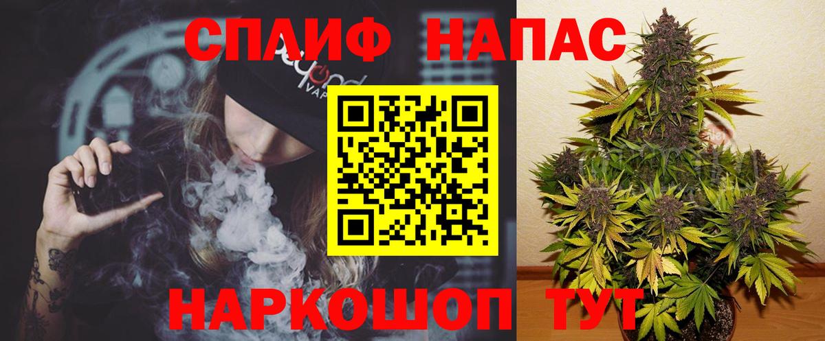 Бошки Шишки план Новороссийск